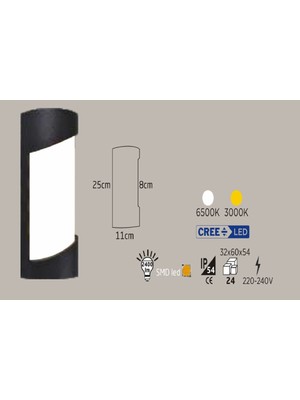 24W Siyah Kasa Dış Mekan LED Aplik Oval Boş (6500K)