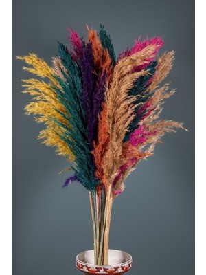 Dekoratif Pampas Otu 10LU Ilkbahar Esintisi 60/100CM