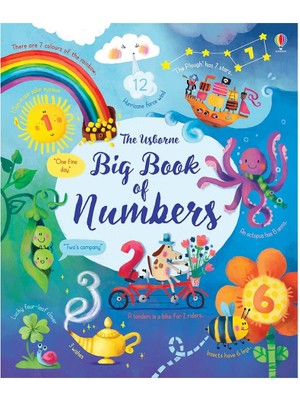 Usborne Big Book Of Numbers