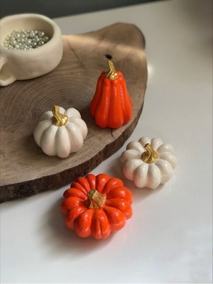 Kabak Set 4 Lü Dekoratif Obje Biblo Bal Kabağı