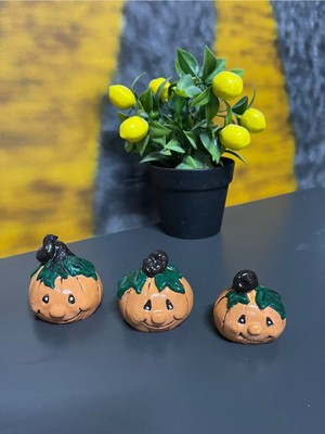 Sevimli Kabak 3'lü Takım Şapşik Yüz Dekoratif Biblo Hediyelik Obje