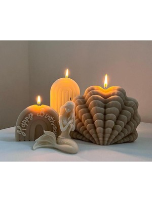 Dekoratif Deniz Kabuğu Kahve Renk