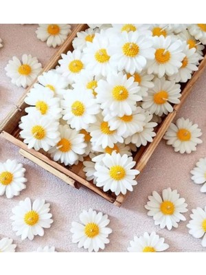 Yüzen Hediyelik Kokulu Mum 25 Adet