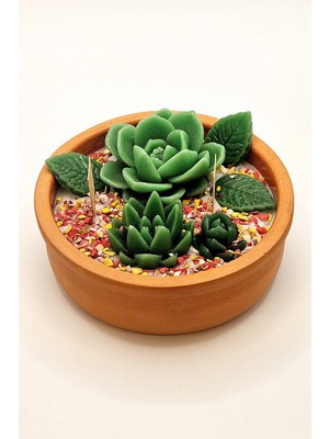 Büyük Boy Toprak Kapta Bahar Çiçekleri Kokulu Dekoratif Soya Wax Kaktüs Bahçesi Mum