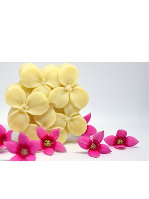 Yonca Mum Sabun & Kokulutaş Silikon Kalıp