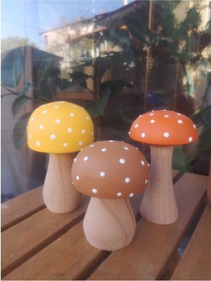 Renkli 3'lü Ahşap ve Mantar Seti, Uğurlu ve Şık Tasarım