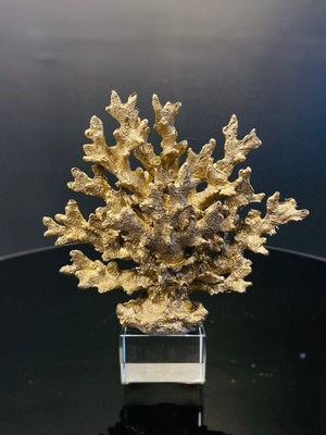 Parlak Mercan Kristal Kaideli 25 Cm, Şık ve Zarif Dekorasyon Parçası