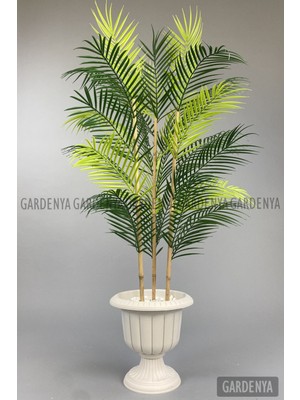 125CM Areka Ağacı 24 Yapraklı Nergiz Saksıda