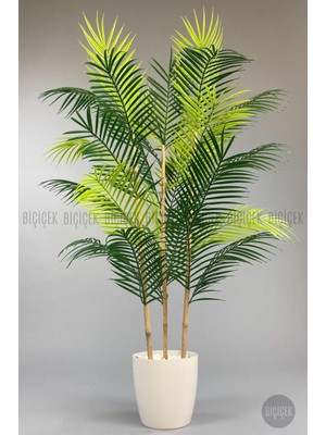 115CM Areka Ağacı 24 Yapraklı Yakut Saksıda
