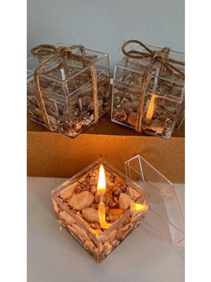 Beyaz Dekoratif Deniz Kabuklu Jel Mum Seti, Şık ve Doğal Görünüm.