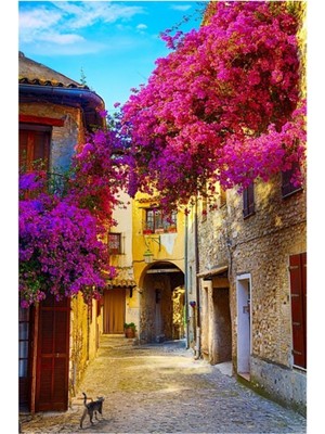 Dekoratif Kanvas Tablo