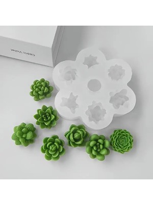 Beyaz Çoklu Sukulent Mum Kalıbı, Şık ve Pratik Tasarım