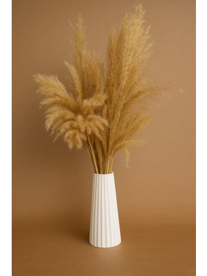 Beyaz Taş Vazo ve Doğal Pampas Otu Dekor, El Yapımı, Şık ve Minimalist Tasarım