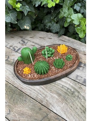 Kaktüs Temalı Silikon Mum Kalıbı Seti, 5'li, Beyaz, Eğlenceli ve Kullanışlı Ürün