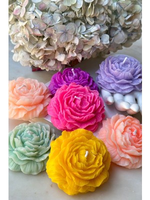 7'li Renkli Kokulu Dekoratif Şakayık Çiçek Mum Seti, 7 cm Çap, 3 cm Yükseklik