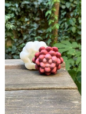 Beyaz Kaktüs Silikon Mum Kalıbı, 3 Adet, Şık ve Kullanışlı Tasarım