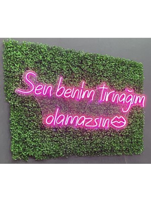 Pembe Neon LED Gece Lambası ve Dekoratif Aksesuar, 100X27 cm