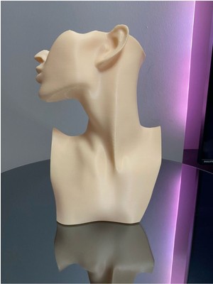 About The Perfect Ten Renk Şık Dekoratif Takı Mankeni, Takı Sergileme ve Organizer Standı