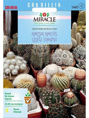 Miracle Karışık Kaktüs Bitkileri Çiçeği Tohumu (20 Tohum)