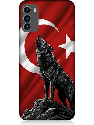 Reeder S19 Max Pro S Uyumlu Bayrak Önünde Uluyan Kurt  Desenli Silikon Kılıf