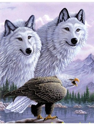 Parlak 5d Elmas Boyama Tablosu, Kartallı Kurt Tasarımı, 40X60 cm