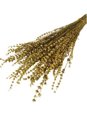 Lavanta Demeti Buketi Şoklanmış Dökülmeyen 40-50 cm
