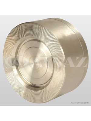 Çekvalf Disco Paslanmaz 304 Dn 80 ÇV-10S/1