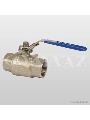 Küresel Vana Pasl 2 PRÇ.PN63 11/2'' V-2t 304