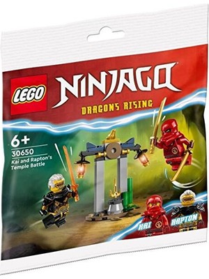 LEGO Ninjago 30650 Kai And Rapton's Temple Battle
