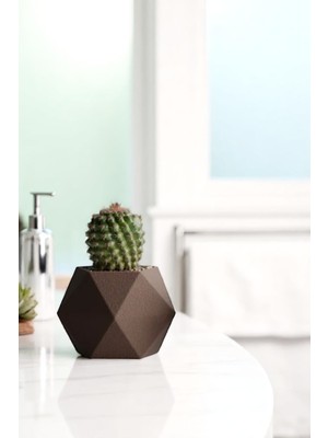 Modern Geometrik Desenli Mini Saksı – 8 cm x 10 cm | Dekoratif Kaktüs & Sukulent Saksısı
