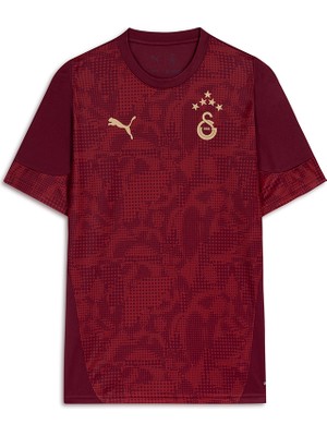 Gs Store Galatasaray Puma A Takım Antrenman T-Shirt 78288403