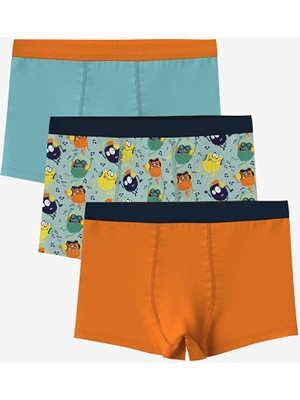 Lc Waikiki Yeni Sezon Baskili Erkek Cocuk Boxer 3'lu - S5FT58Z4