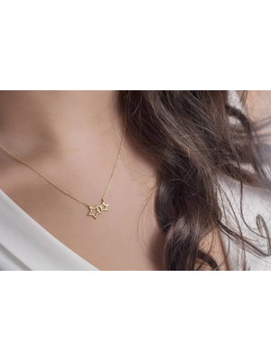 Yıldız 14 Ayar Altın Kolye