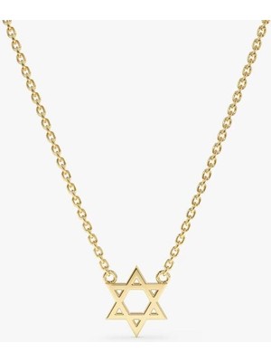 Davud Yıldızı 14 Ayar Altın Kolye