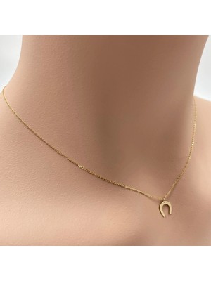 Şans Nalı 14 Ayar Altın Kolye