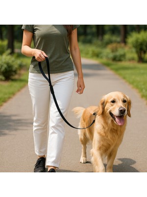 Beylini Dayanıklı Köpek Gezdirme Kayışı Metal Tokalı Bütün Tasmalara Uyumlu Evcil Hayvan Tasması Siyah
