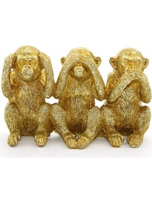 Polyester 3 Maymun  - Görmedim Duymadım Bilmiyorum