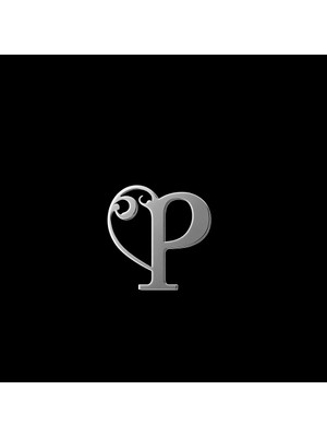 TabiTela 925 Ayar gümüş kolye Harf P   SM6163