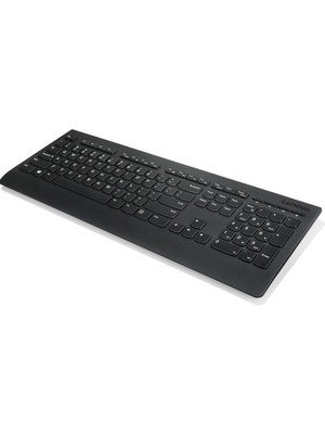 Lenovo Q Arapça 4X30H56842 Multımedya Klavye