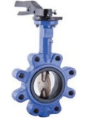 Klepsan 2166 6 PN16 Kelebek Vana Lug Tip DN150