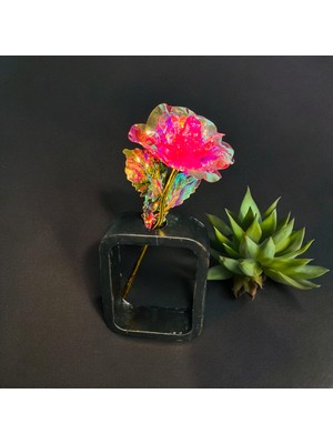 Vazo Seti Kare Sonsuzluk Gülü Dahil Parlak Pembe Konsept Hediyelik