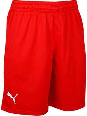 Puma Turkey Practice Short Erkek Türkiye Basketbol 60547202 Kırmızı