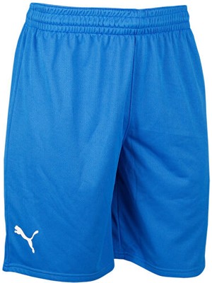 Puma Turkey Practice Short Erkek Türkiye Basketbol Şortu 60547201 Mavi