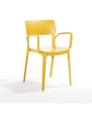 Novussi Panora Sandalye 2'li