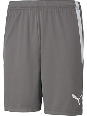 Puma Teamliga Shorts Erkek Futbol Şortu 70492413 Gri