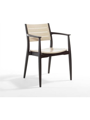 Novussi Regnum Koltuk