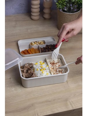 Çizgili 5 Bölmeli Beslenme Kutusu Çatal Kaşıklı Şeffaf Kapaklı Sızdırmaz Lunch Box Okul Ofis (1 Adet)