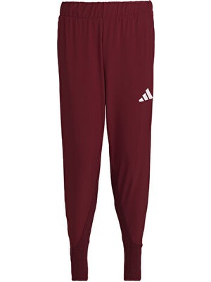 adidas TURKIYE P PNT M Erkek   Eşofman Altı JH0784