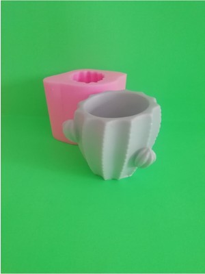 Kaktüs Saksı Silikon Kalıp