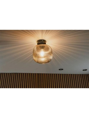 Mylights Rustik  Bal Cam Plofonyer Tavan Avize duvar aplik 20CM  Rustik Vintage koridor yatak odası otel kafe yatak odası orurma odası avize